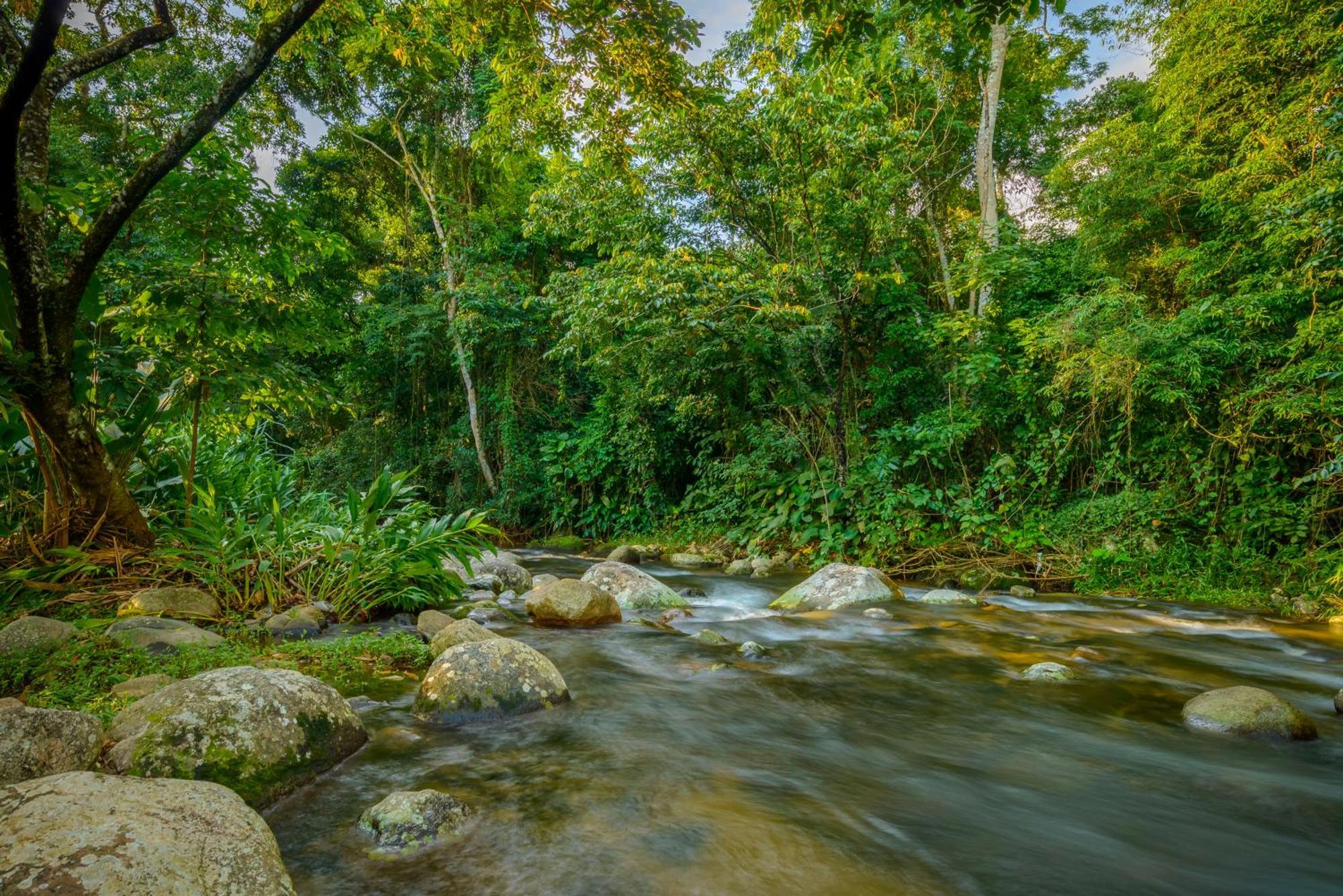 Velinn Pousada Bromelias Ilhabela Dış mekan fotoğraf